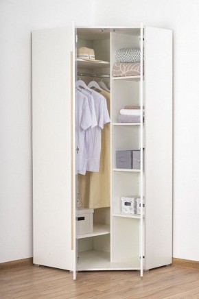 Шкаф платяной Куба 1725.М3 в Тавде - tavda.mebel24.online | фото 8