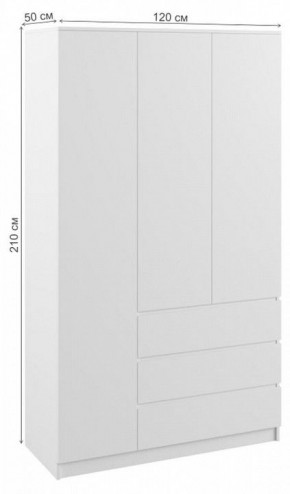 Шкаф платяной Мадера в Тавде - tavda.mebel24.online | фото