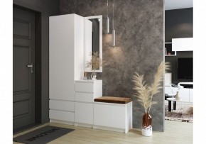 Шкаф платяной Мадера в Тавде - tavda.mebel24.online | фото 4