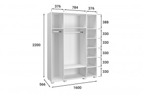 Шкаф платяной Монблан МБ-25К в Тавде - tavda.mebel24.online | фото 9