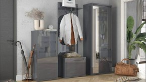 Шкаф платяной Норден в Тавде - tavda.mebel24.online | фото 3
