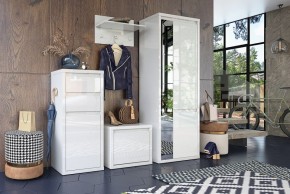 Шкаф платяной Норден СТЛ.413.01 в Тавде - tavda.mebel24.online | фото 4