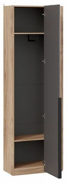 Шкаф платяной Порто СМ-393.07.232 в Тавде - tavda.mebel24.online | фото 2