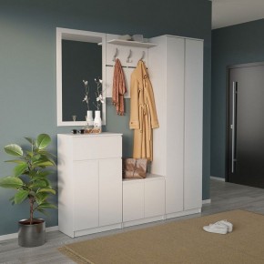 Шкаф платяной ШО-4 в Тавде - tavda.mebel24.online | фото 6