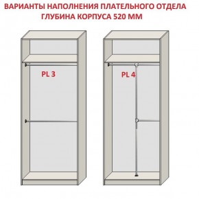 Шкаф распашной серия «ЗЕВС» (PL3/С1/PL2) в Тавде - tavda.mebel24.online | фото 10