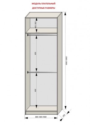 Шкаф распашной серия «ЗЕВС» (PL3/С1/PL2) в Тавде - tavda.mebel24.online | фото 12