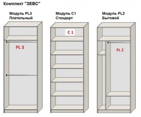 Шкаф распашной серия «ЗЕВС» (PL3/С1/PL2) в Тавде - tavda.mebel24.online | фото 2