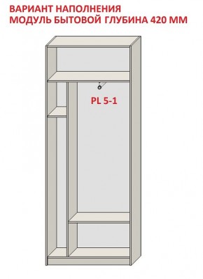 Шкаф распашной серия «ЗЕВС» (PL3/С1/PL2) в Тавде - tavda.mebel24.online | фото 4