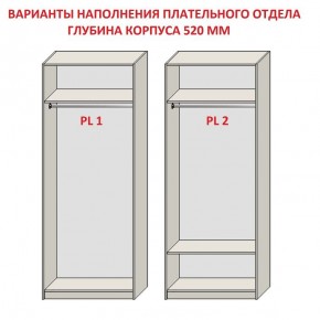 Шкаф распашной серия «ЗЕВС» (PL3/С1/PL2) в Тавде - tavda.mebel24.online | фото 9