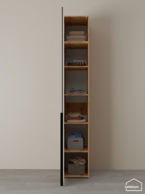 Шкаф с антресолью Linnea MHR-1A-2 2450х400х510 (ДВ-М 11.1.25) в Тавде - tavda.mebel24.online | фото 4