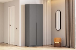 Шкаф ШК-5 (800) Графит серый в Тавде - tavda.mebel24.online | фото 1