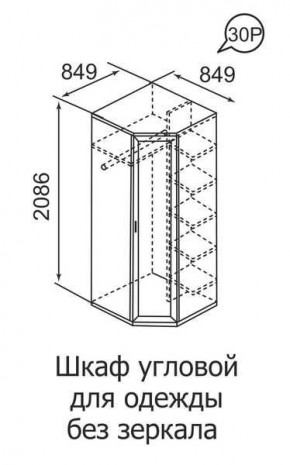 Шкаф угловой для одежды Ника-Люкс 30 без зеркал в Тавде - tavda.mebel24.online | фото 3