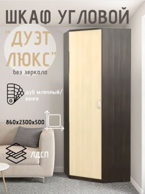 Шкаф угловой Дуэт Люкс без зеркала в Тавде - tavda.mebel24.online | фото 3