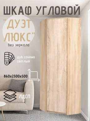 Шкаф угловой Дуэт Люкс без зеркала в Тавде - tavda.mebel24.online | фото 5