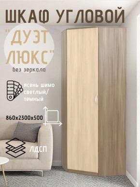 Шкаф угловой Дуэт Люкс без зеркала в Тавде - tavda.mebel24.online | фото 7