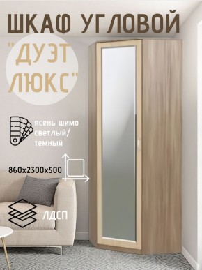 Шкаф угловой Дуэт Люкс с зеркалом в Тавде - tavda.mebel24.online | фото 3