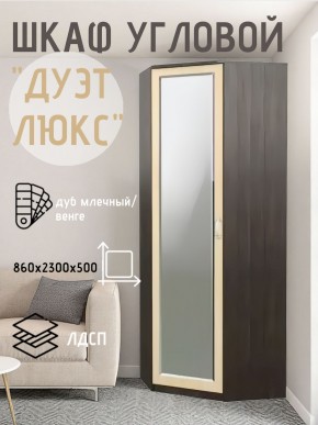 Шкаф угловой Дуэт Люкс с зеркалом в Тавде - tavda.mebel24.online | фото 5