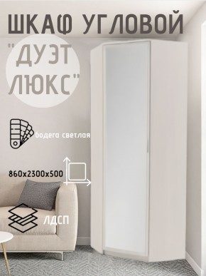 Шкаф угловой Дуэт Люкс с зеркалом в Тавде - tavda.mebel24.online | фото 6