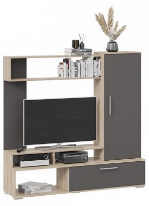 Стенка для гостиной Сиена в Тавде - tavda.mebel24.online | фото 2