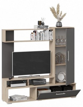 Стенка для гостиной Сиена в Тавде - tavda.mebel24.online | фото 3