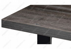 Стол обеденный Эльпатия в Тавде - tavda.mebel24.online | фото 6