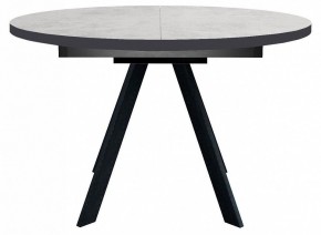 Стол обеденный RD100 в Тавде - tavda.mebel24.online | фото