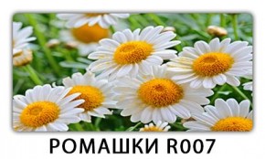 Стол раздвижной Трилогия с фотопечатью Сирень C011 в Тавде - tavda.mebel24.online | фото 15