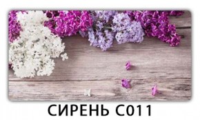 Стол раздвижной Трилогия с фотопечатью Сирень C011 в Тавде - tavda.mebel24.online | фото 16