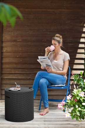 Столик-холодильник Кул-Стул (Cool stool) графит в Тавде - tavda.mebel24.online | фото 1