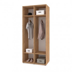 СТОУН С21 Шкаф 2-х створчатый (дуб золотой/графит) в Тавде - tavda.mebel24.online | фото 3