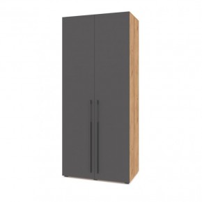 СТОУН С22 Шкаф 2-х створчатый (золотой дуб/графит) в Тавде - tavda.mebel24.online | фото 1