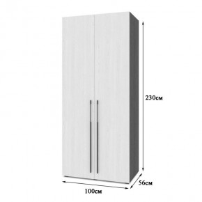 СТОУН С22 Шкаф 2-х створчатый (золотой дуб/графит) в Тавде - tavda.mebel24.online | фото 2