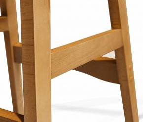 Стул обеденный SHT-ST29/S65-1 в Тавде - tavda.mebel24.online | фото 5