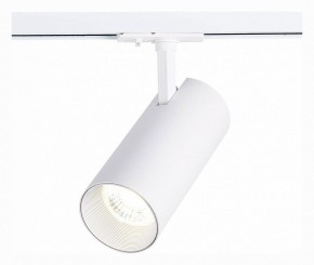 Светильник на штанге ST-Luce Mono ST350.536.30.36 в Тавде - tavda.mebel24.online | фото 2