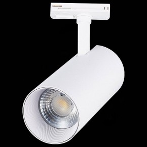 Светильник на штанге ST-Luce Mono ST350.536.30.36 в Тавде - tavda.mebel24.online | фото 6