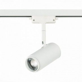 Светильник на штанге ST-Luce Zoom ST600.536.12 в Тавде - tavda.mebel24.online | фото 3