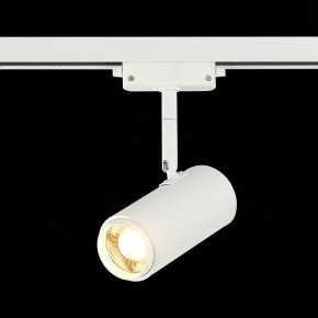 Светильник на штанге ST-Luce Zoom ST600.536.12 в Тавде - tavda.mebel24.online | фото 4