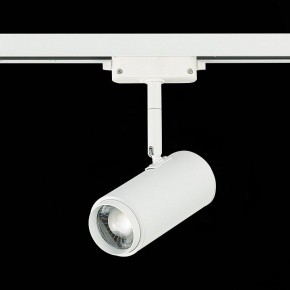 Светильник на штанге ST-Luce Zoom ST600.536.12 в Тавде - tavda.mebel24.online | фото 5