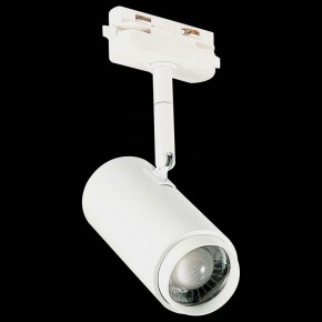 Светильник на штанге ST-Luce Zoom ST600.536.12 в Тавде - tavda.mebel24.online | фото 6