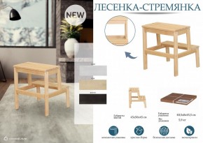 Табурет Стремянка в Тавде - tavda.mebel24.online | фото 4