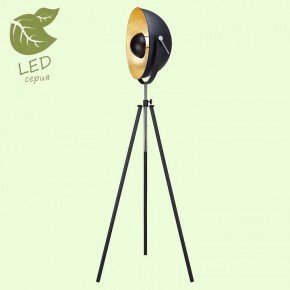Торшер Lussole Sherrelwood GRLSP-9824 в Тавде - tavda.mebel24.online | фото 2