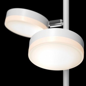 Торшер Maytoni Fad MOD070FL-L12W3K в Тавде - tavda.mebel24.online | фото 5