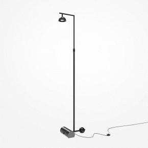 Торшер Maytoni Pikant MOD372FL-L10B3K в Тавде - tavda.mebel24.online | фото 2