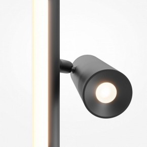Торшер Maytoni Thin MOD395FL-L28B3K в Тавде - tavda.mebel24.online | фото 6
