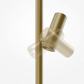 Торшер Maytoni Thin MOD395FL-L28BS3K в Тавде - tavda.mebel24.online | фото 6