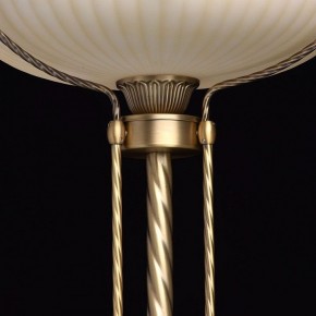Торшер MW-Light Афродита 1 317040901 в Тавде - tavda.mebel24.online | фото 6