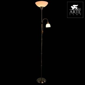 Торшер с подсветкой Arte Lamp Duetto A9569PN-2AB в Тавде - tavda.mebel24.online | фото 3