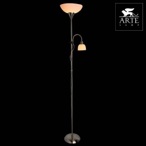 Торшер с подсветкой Arte Lamp Duetto A9569PN-2SS в Тавде - tavda.mebel24.online | фото 3