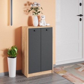 Тумба для обуви Рино в Тавде - tavda.mebel24.online | фото 3