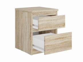 Тумба КАСТОР малая с двумя ящиками, цвет Дуб Сонома в Тавде - tavda.mebel24.online | фото 2